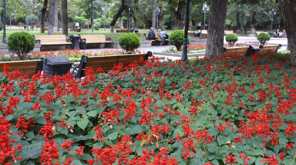 View from the 9th of April park in the city of Tbilisi, Georgia. Men talking on a park bench.