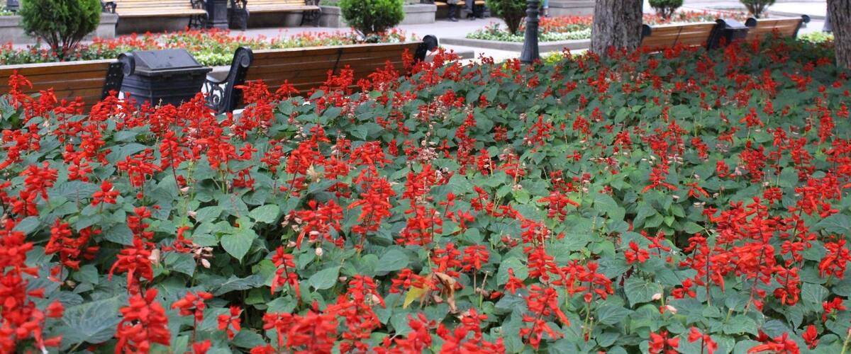 View from the 9th of April park in the city of Tbilisi, Georgia. Men talking on a park bench.