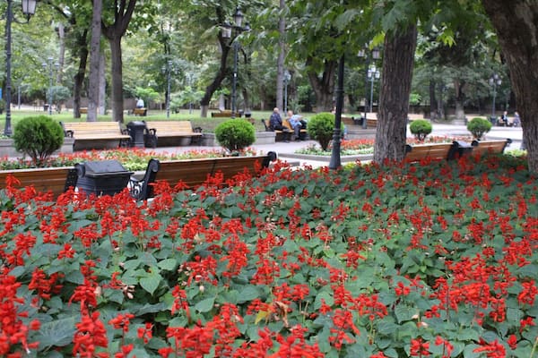 View from the 9th of April park in the city of Tbilisi, Georgia. Men talking on a park bench.