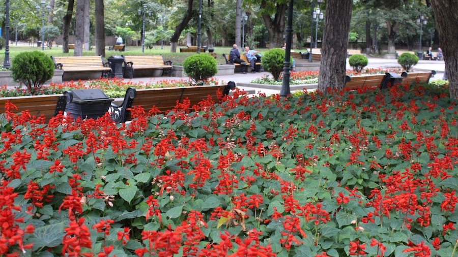 View from the 9th of April park in the city of Tbilisi, Georgia. Men talking on a park bench.