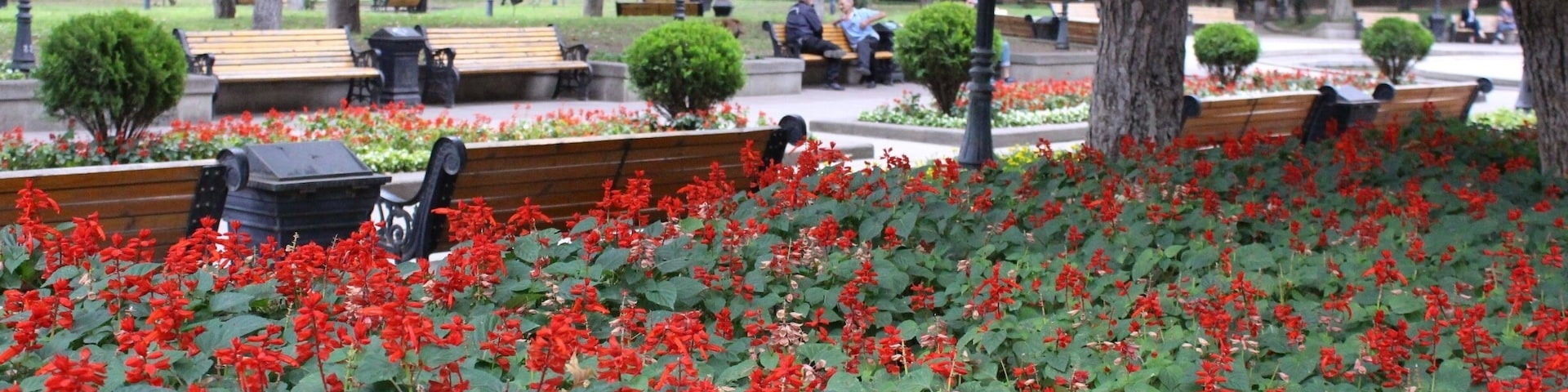View from the 9th of April park in the city of Tbilisi, Georgia. Men talking on a park bench.