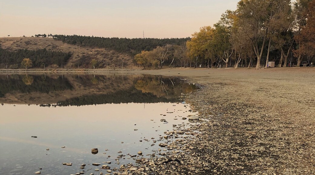 Shoreline of Lisi Lake (Georgian: ლისის ტბა) in the Georgian capital of Tbilisi.