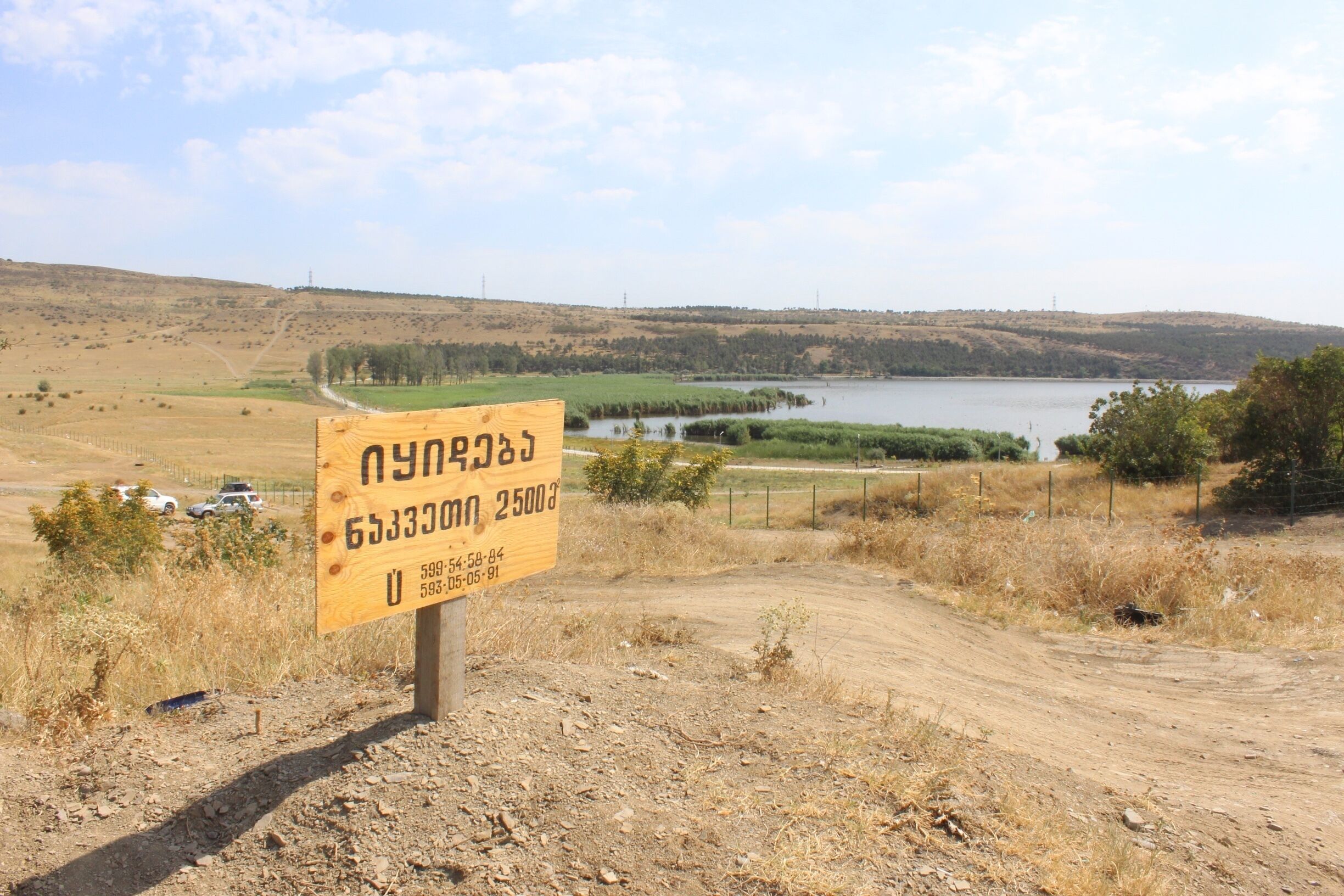 Lot of land for sale near Lisi Lake in the city of Tbilisi. 