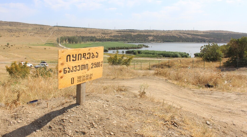 Lot of land for sale near Lisi Lake in the city of Tbilisi.