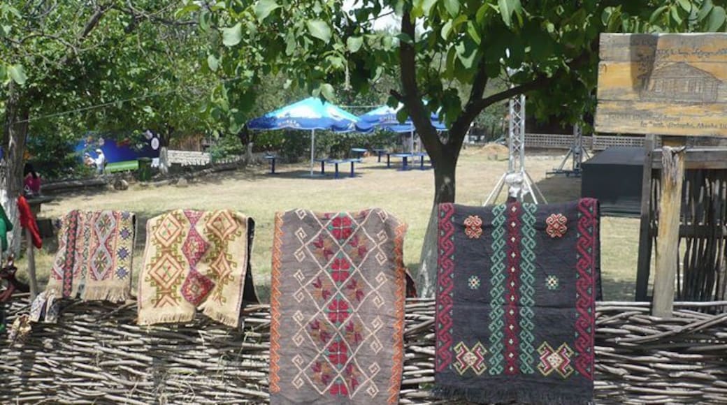 Art Gene Festival at Open Air Museum