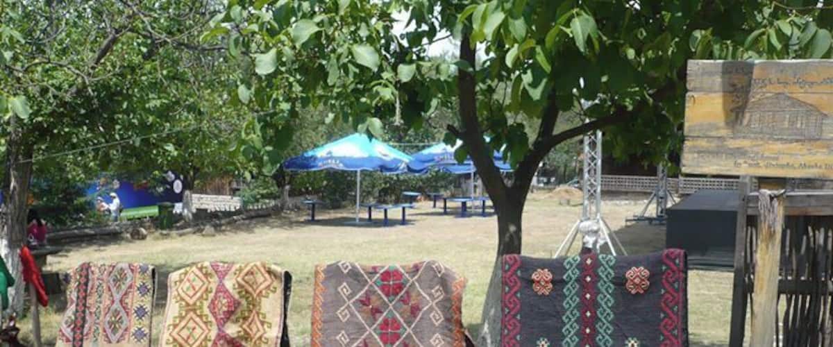 Art Gene Festival at Open Air Museum