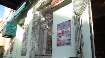 The Lado Tevdoradze Art Gallery in Old Tbilisi.
This small gallery is run by the wife of Lado Tevdoradze, it features a number of paintings of traditional Georgian life - most of the paintings are humorous.
This gallery is well worth a visit if you're in Old Town - it's not easy to spot. It's located on a side street with construction at the end - it's close to a nightclub called KGB.