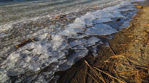 فاكي سابورتالو