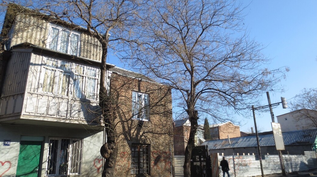 View from the backstreets near the Marjanishvili area of the city of Tbilisi.
A pretty typical sidewalk view in the month of January.