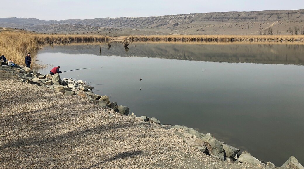 View of Lisi Lake, a small, freshwater lake, located in the Georgian capital of Tbilisi.