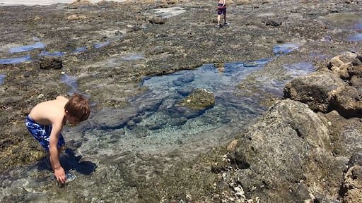 Without a doubt, this is our favorite beach and hotel when our goal is to get away from screens and a crazy city life! The boys explored the tide pools for hours and saw so many cool tropical fish and sea life! #LifeAtExpedia #vacationwithkids #exploringthenaturalworld