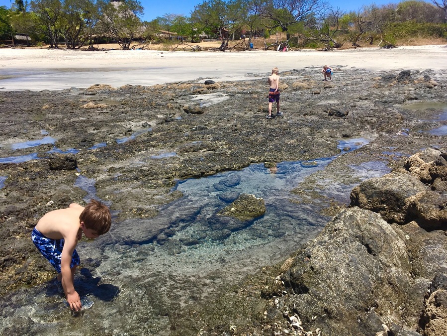 Without a doubt, this is our favorite beach and hotel when our goal is to get away from screens and a crazy city life! The boys explored the tide pools for hours and saw so many cool tropical fish and sea life! #LifeAtExpedia #vacationwithkids #exploringthenaturalworld
