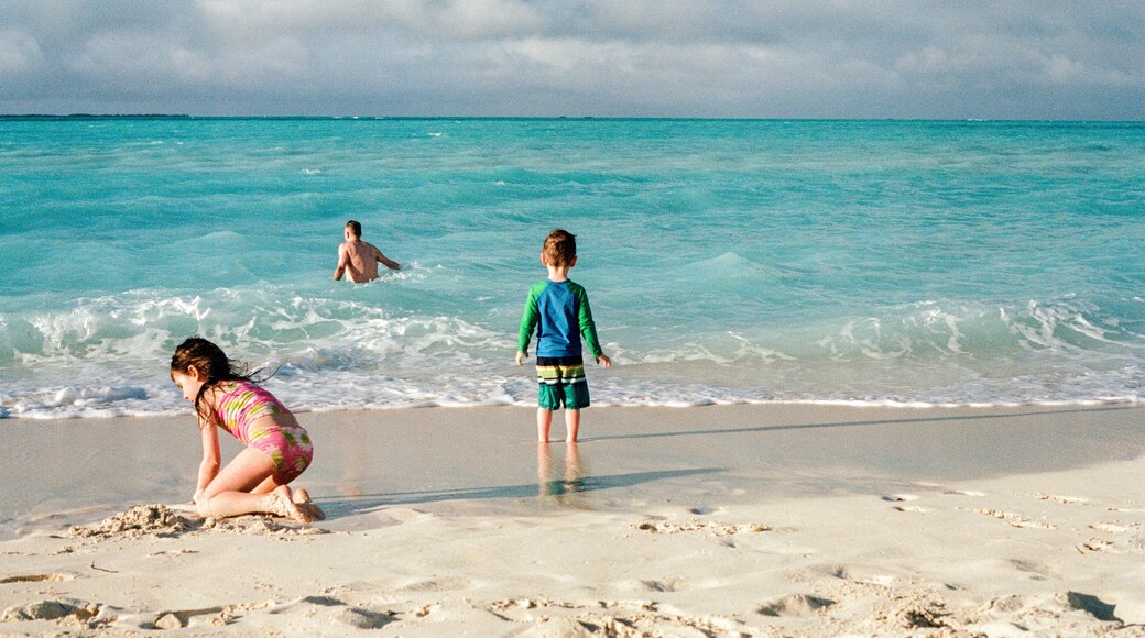 Family Plays Together on Beach While on Vacation in the Bahamas