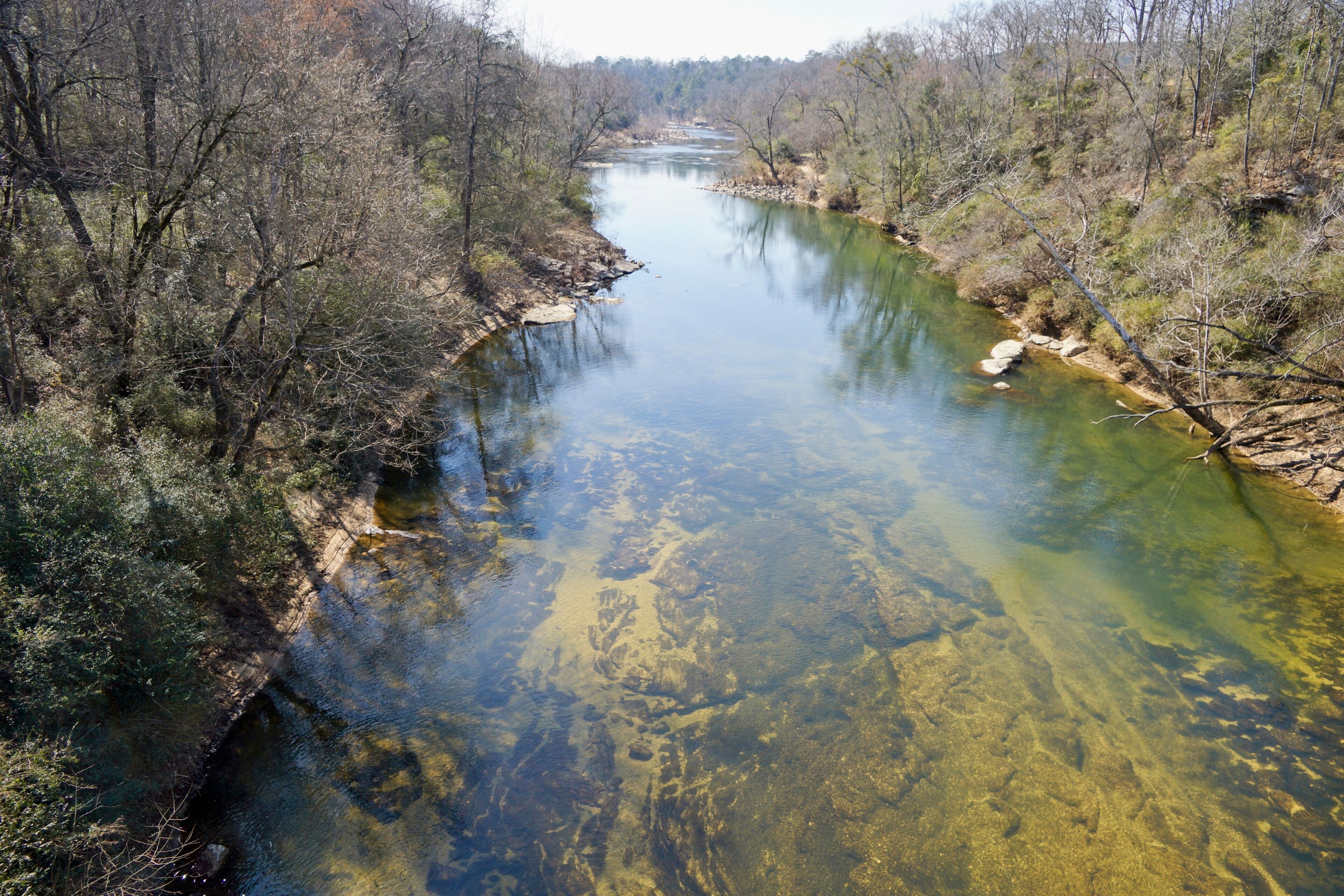 A river with clear water, surrounded by dense trees and a rocky riverbank.