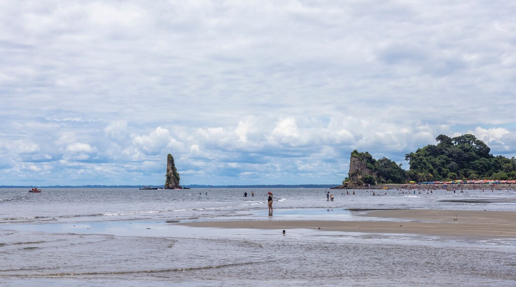 Tropical landscape of the Colombian Pacific, in Tumaco Nariño Colombia. Pacific Ocean.