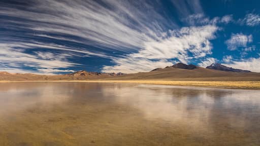 Vilacota Maure National Park, Tacna - Peru