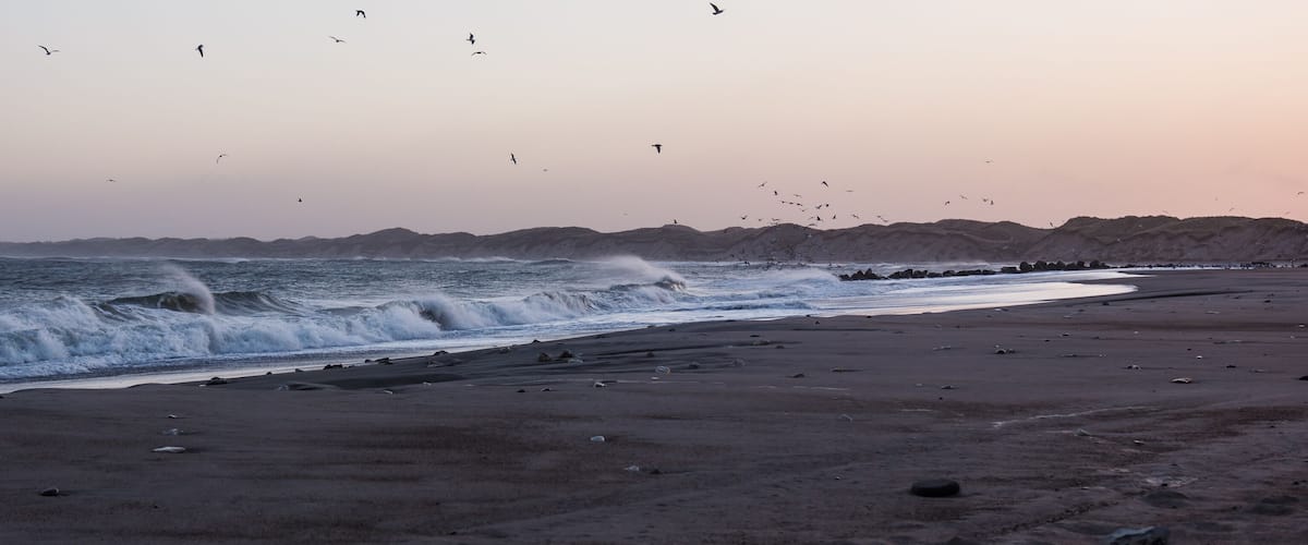 A beach with waves crashing onto the shore, birds flying overhead, and a distant rocky coastline.