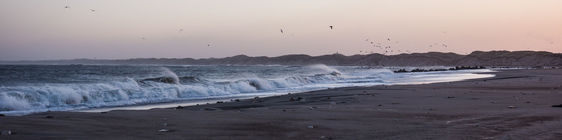 A beach with waves crashing onto the shore, birds flying overhead, and a distant rocky coastline.