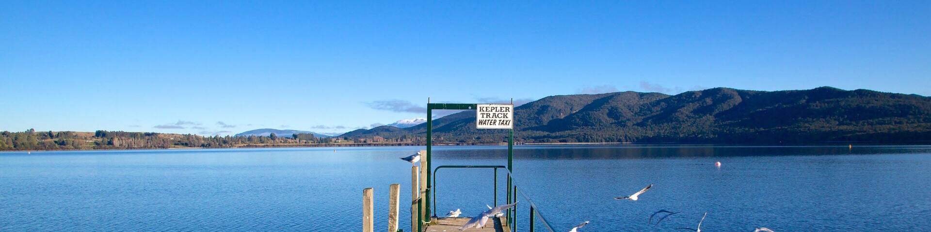 Te Anau which includes a lake or waterhole