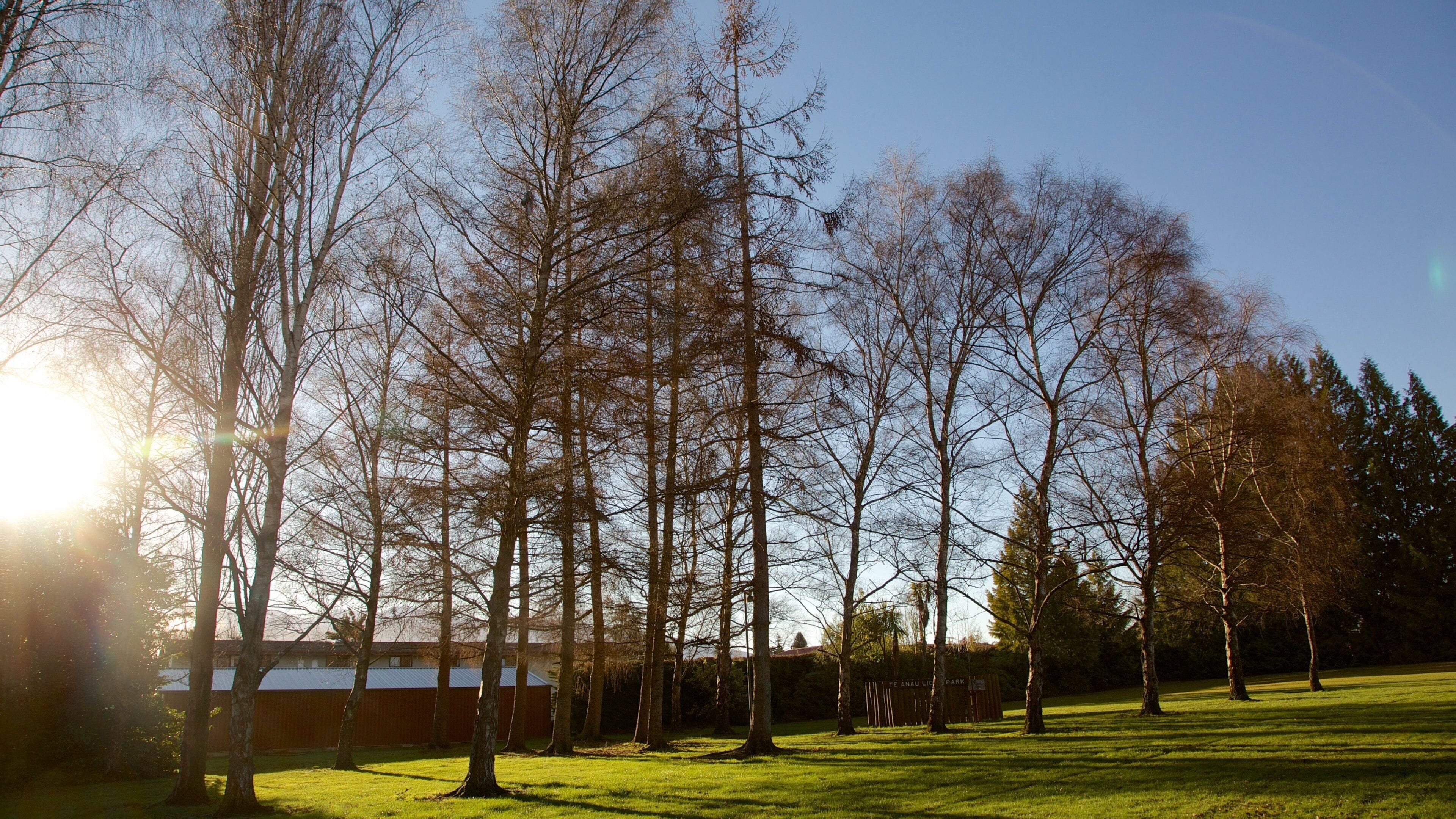 Te Anau which includes a park