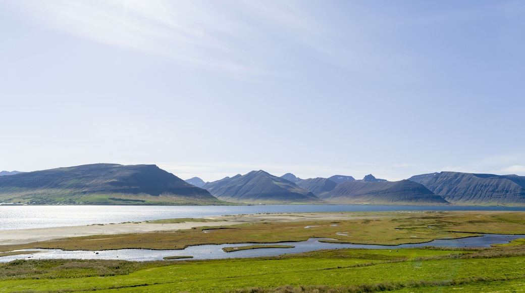Landscape at fjord Dyrafjordur. View towards the mountains of the Thingeyri peninsula, northwest Iceland.