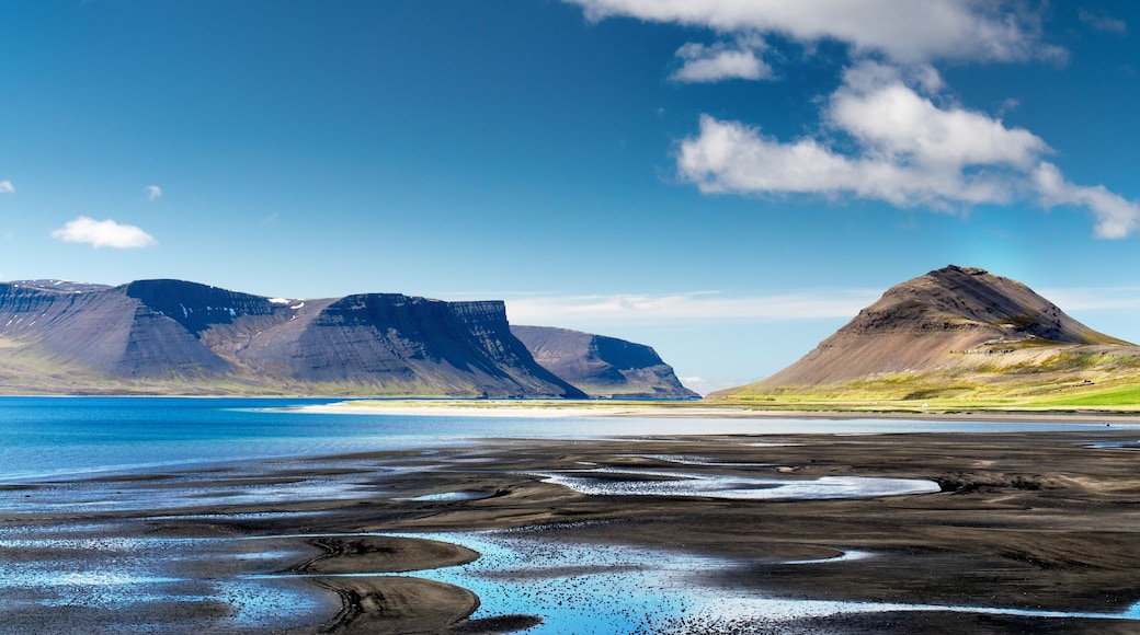 Thingeyri (Þingeyri) is a settlement in the municipality of Ísafjarðarbær, Iceland. It is located on the coast of the fjord Dýrafjörður