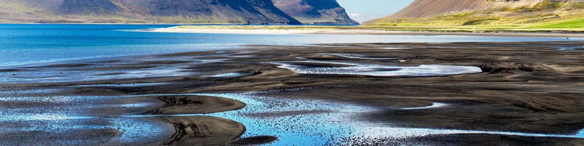 Thingeyri (Þingeyri) is a settlement in the municipality of Ísafjarðarbær, Iceland. It is located on the coast of the fjord Dýrafjörður