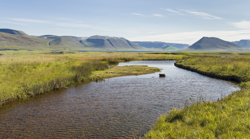 Landscape at fjord Dyrafjordur. The remote Westfjords in northwest Iceland.