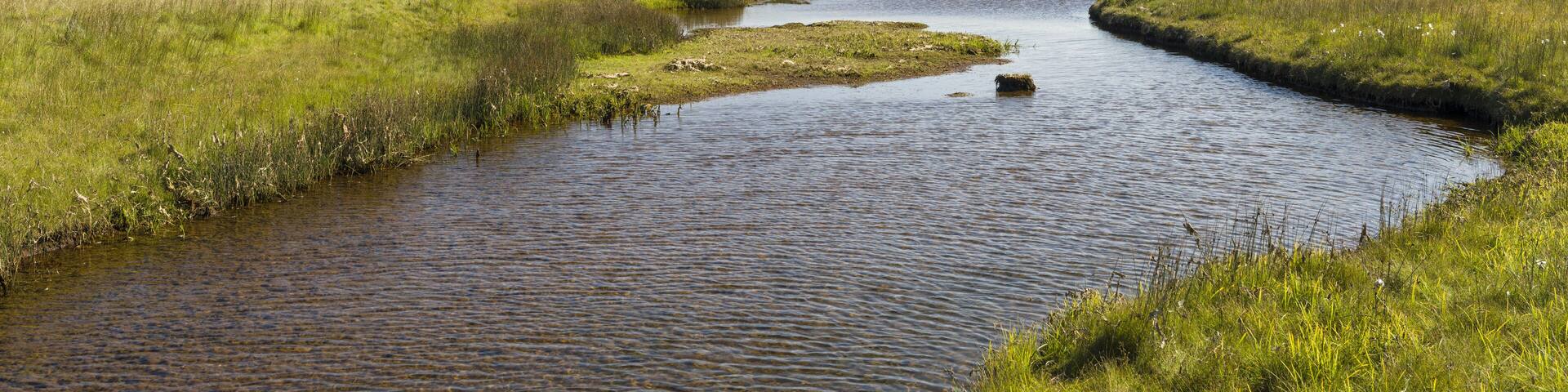 Landscape at fjord Dyrafjordur. The remote Westfjords in northwest Iceland.