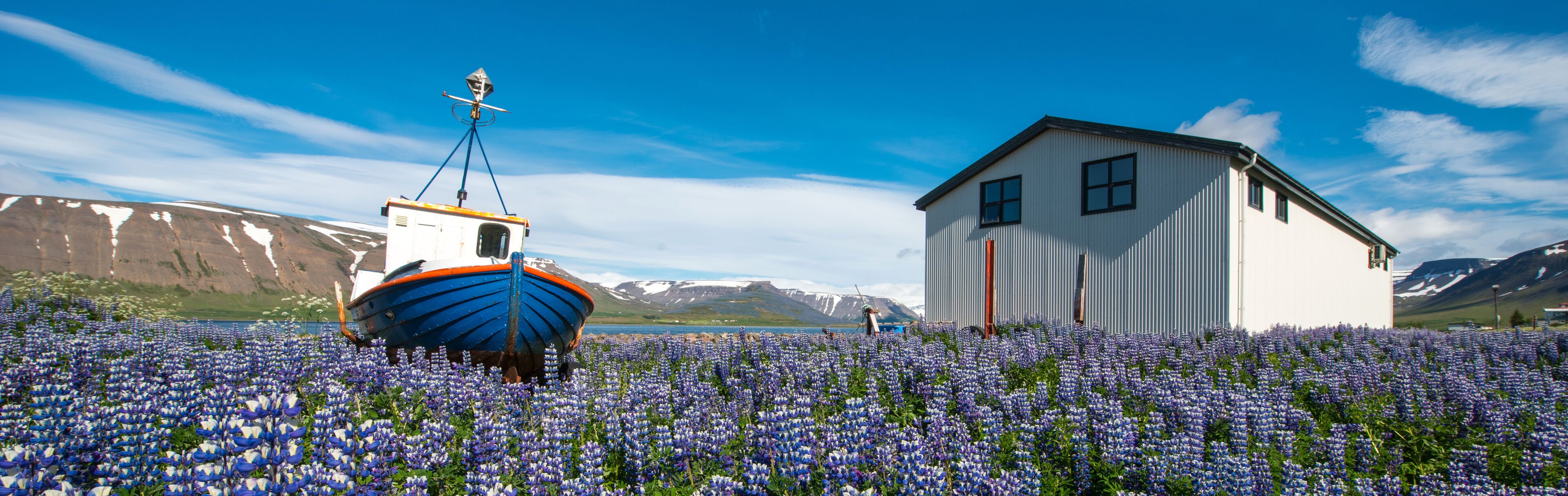 Pingeyri town, Westfjords, Iceland