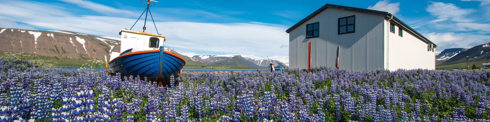Pingeyri town, Westfjords, Iceland