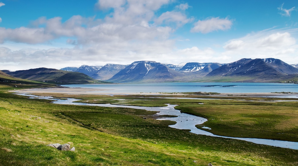 Thingeyri (Þingeyri) is a settlement in the municipality of Ísafjarðarbær, Iceland. It is located on the coast of the fjord Dýrafjörður