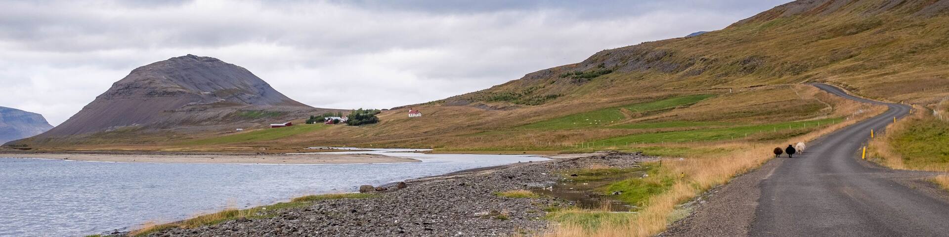 Thingeyri, Iceland