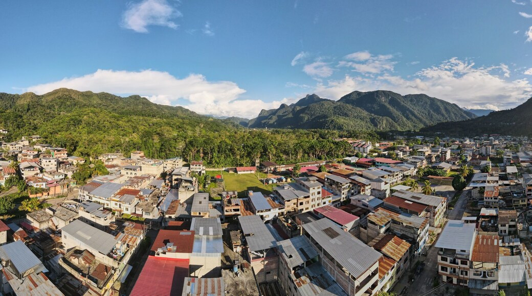 view of the city from tingo maria peru
