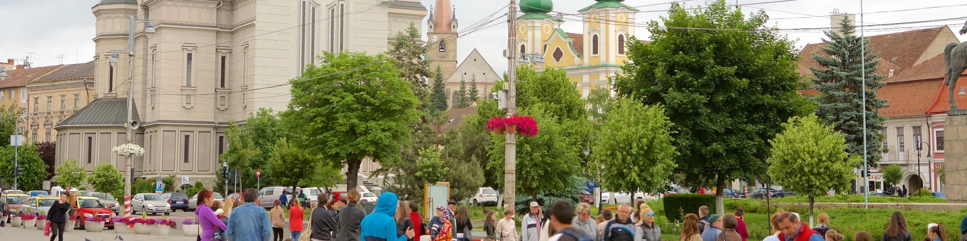 Tirgu Mures showing a square or plaza as well as a large group of people