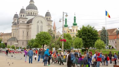 Tirgu Mures som visar ett torg såväl som en stor grupp av människor