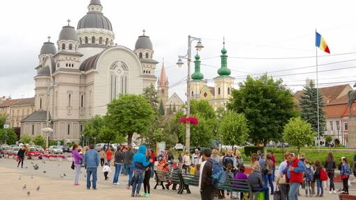 Tîrgu Mures que incluye un parque o plaza y también un gran grupo de personas