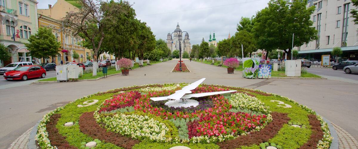 特爾古穆列什 其中包括 花園
