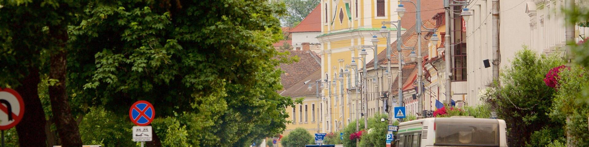 Tirgu Mures featuring street scenes