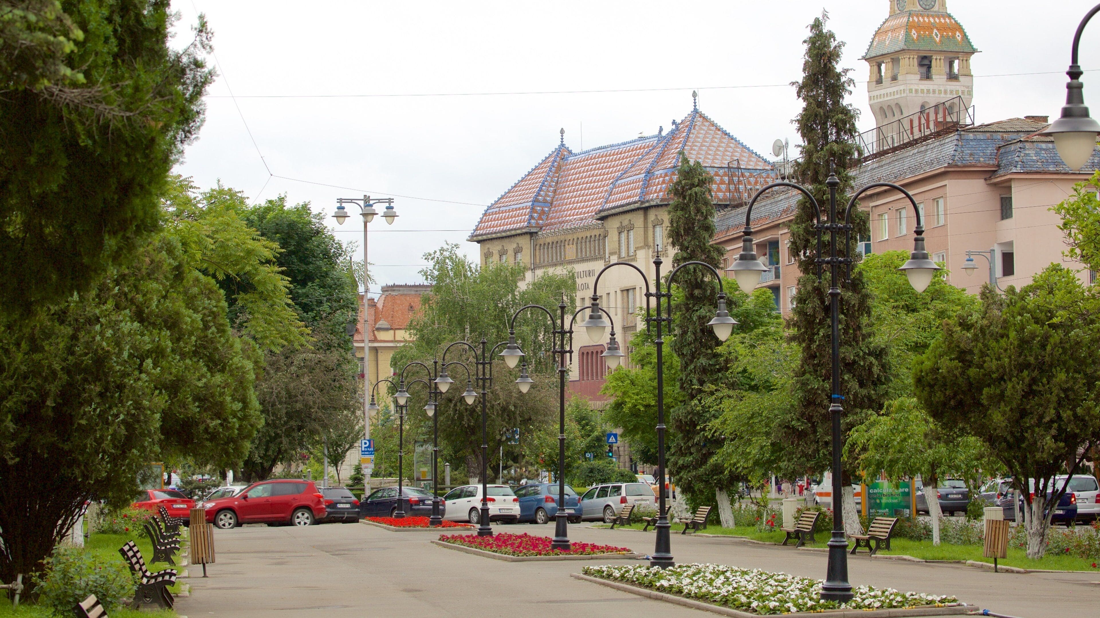 Tîrgu Mures mostrando un parque