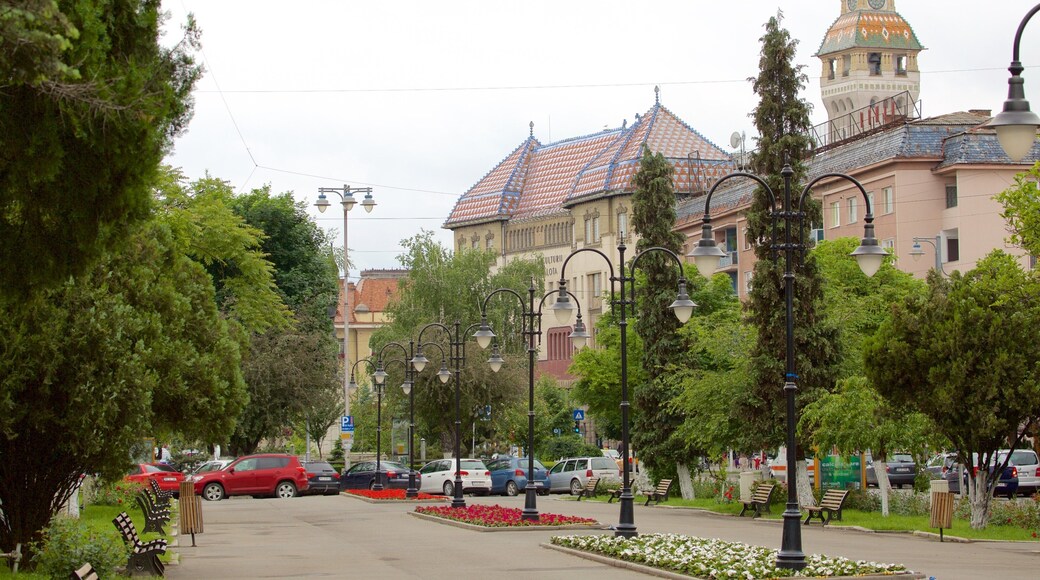 Tîrgu Mures mostrando un parque