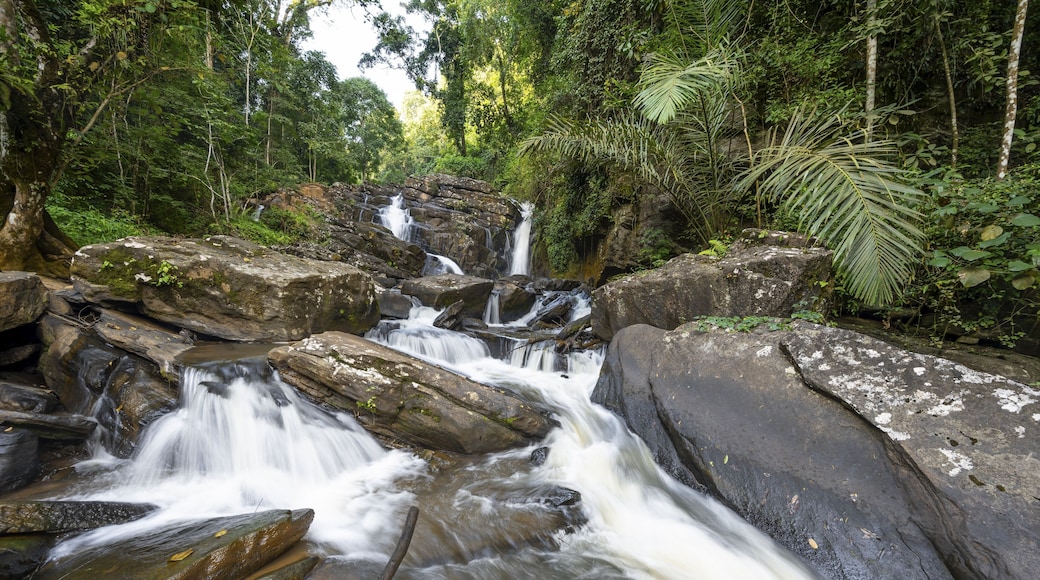 Derema Waterfall flows through thick vegetation, tropical rainforest in Amani Nature Forest Reserve, long exposure, Eastern Usambara Mountains, Tanga, Tanzania