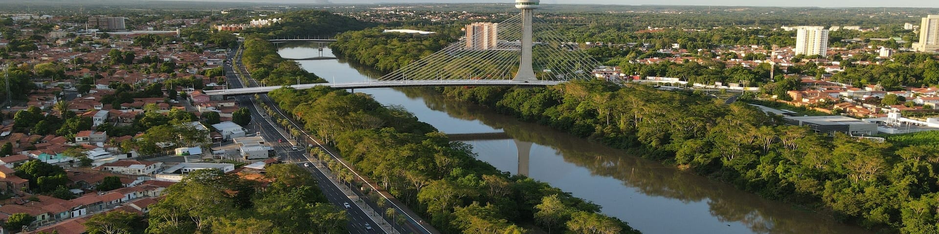 A river with a bridge, a tower, and a cityscape with buildings and greenery.