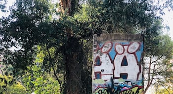 One piece of the original Berlin Wall in Tirana donated by Germany