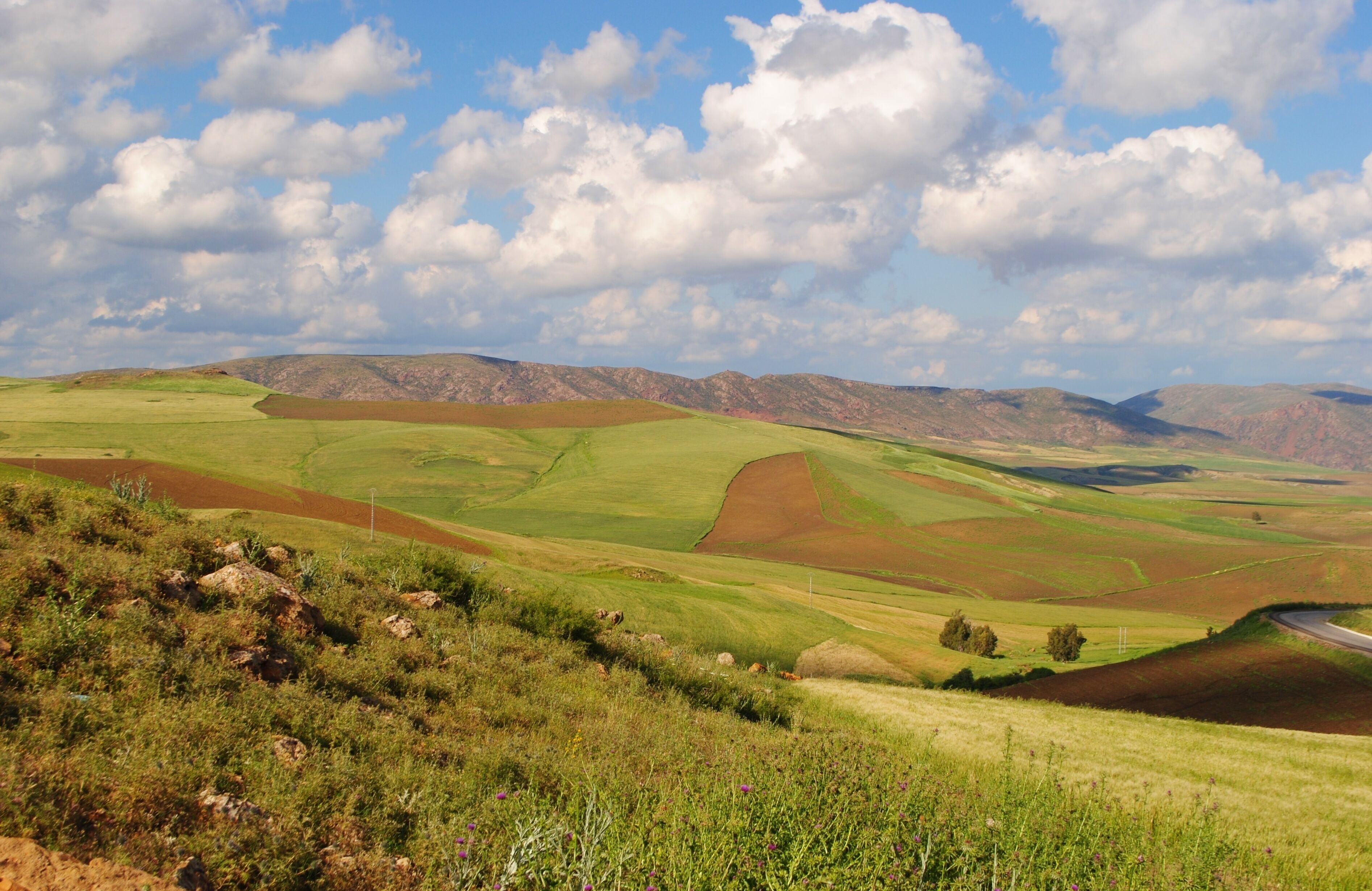 Paysage vallonné sur fond de montagnes au printemps