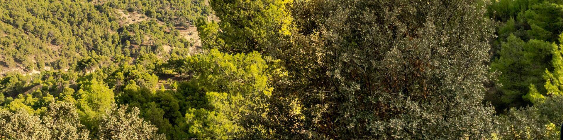 The Ouarsenis or Ouanchariss or Warsnis mountain summit Mount Sidi Amar near Bordj Bounaama in Tissemsilt, Algeria. Forest trees and cloudy blue sky. From Lazharia on N19 national road