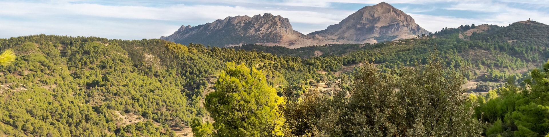 The Ouarsenis or Ouanchariss or Warsnis mountain summit Mount Sidi Amar near Bordj Bounaama in Tissemsilt, Algeria. Forest trees and cloudy blue sky. From Lazharia on N19 national road