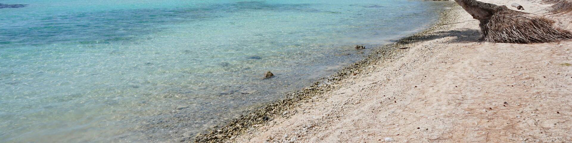 Overwater bungalows lagoon and coconut trees