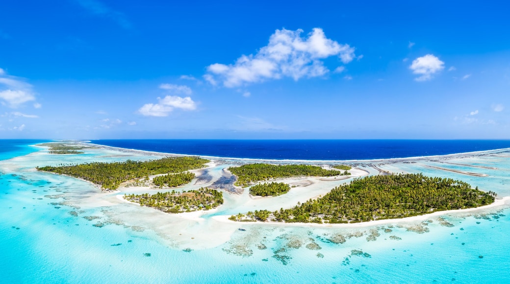A tropical island with clear turquoise waters and dense green vegetation.
