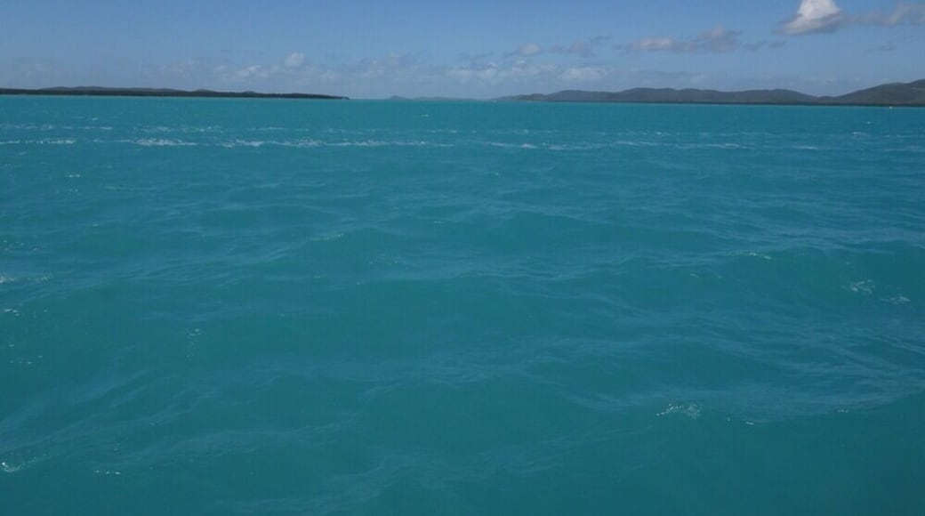 The only way to get to Thursday Island is by ferry - either from the Mainland or Horn Island, which has an airport. Peddels runs a twice-daily ferry service from Seisia at Cape York. It takes a little over an hour and on a good day you'll have a smooth trip and gorgeous views!